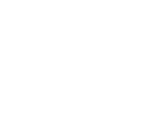 SANTOS LOGO